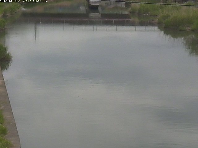 取得できませんでした