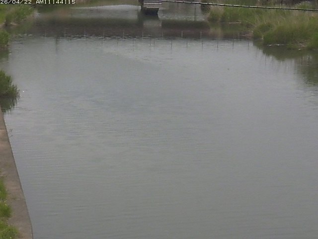 取得できませんでした