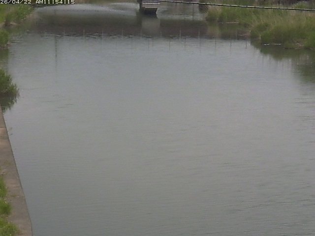 取得できませんでした