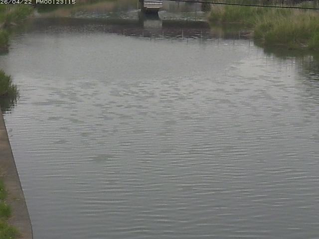 取得できませんでした