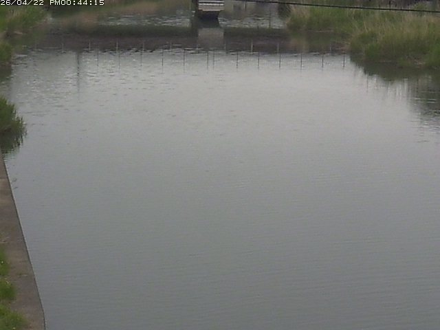 取得できませんでした