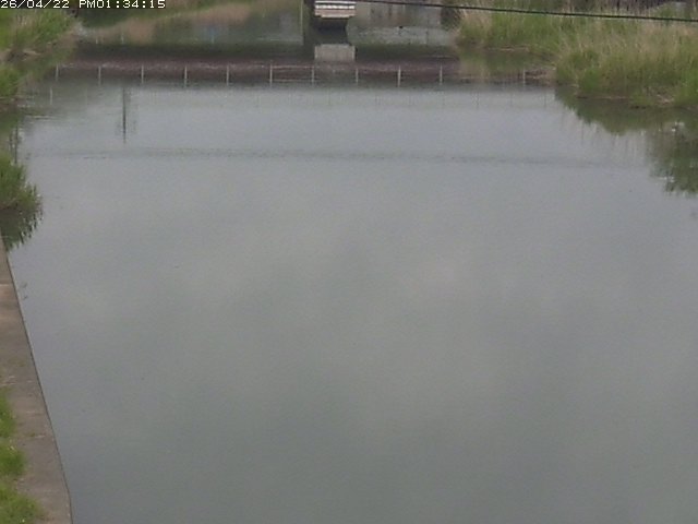 取得できませんでした