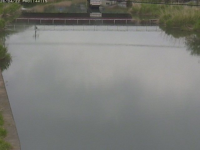 取得できませんでした