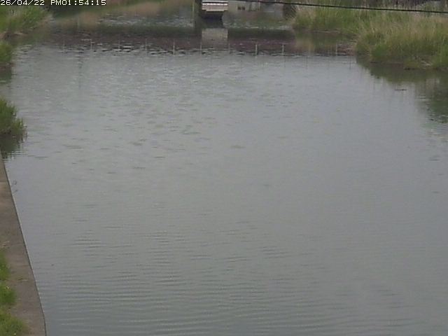 取得できませんでした