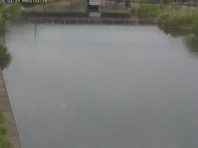 取得できませんでした