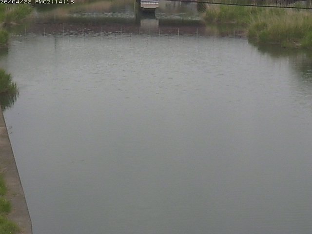 取得できませんでした