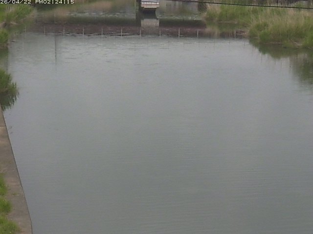 取得できませんでした