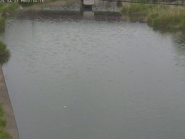 取得できませんでした