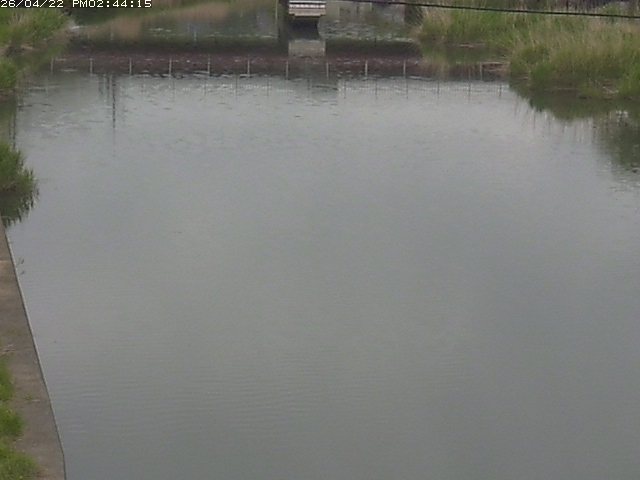 取得できませんでした