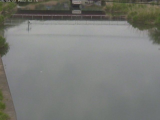 取得できませんでした