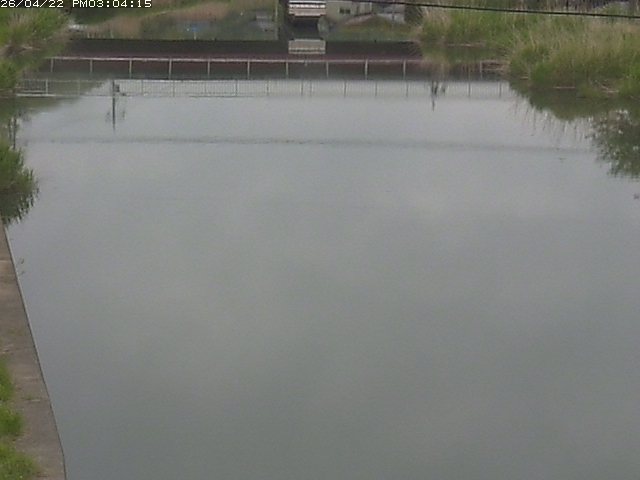 取得できませんでした