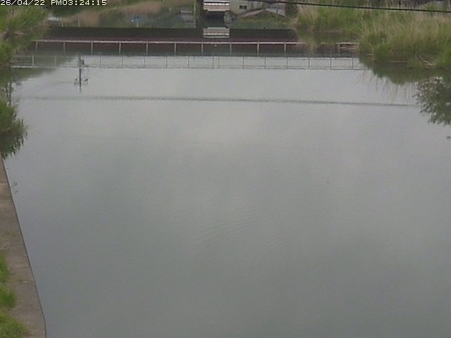 取得できませんでした