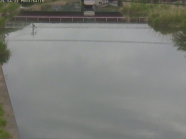 取得できませんでした