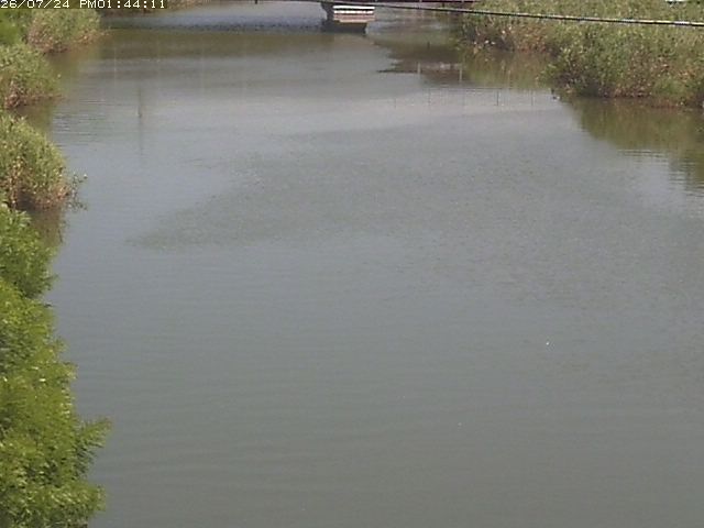 取得できませんでした