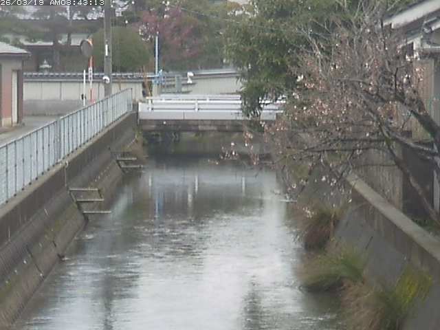 取得できませんでした