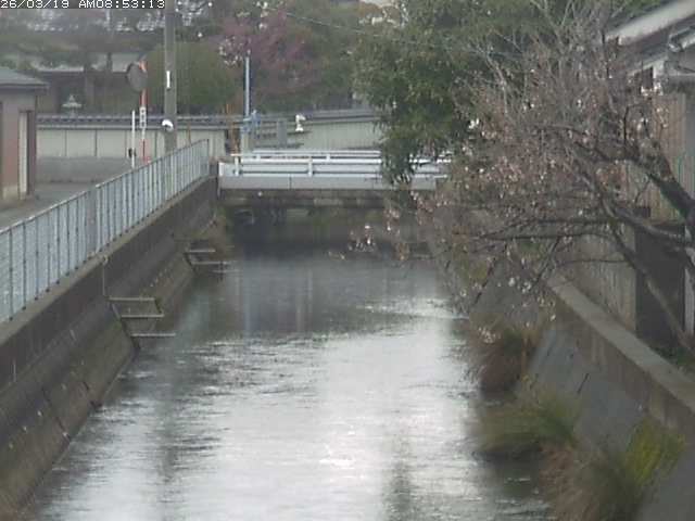 取得できませんでした