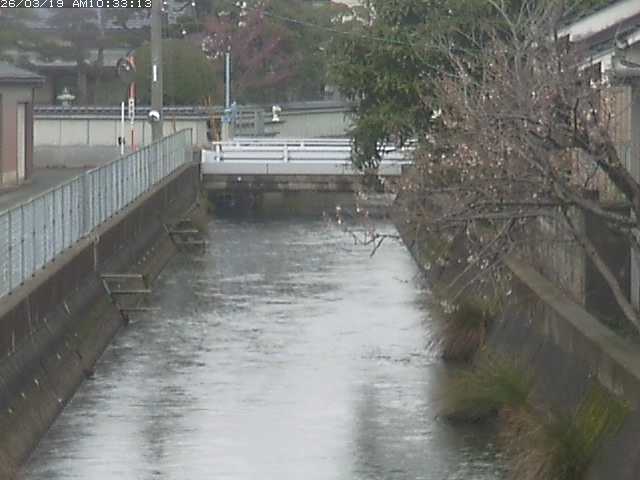 取得できませんでした