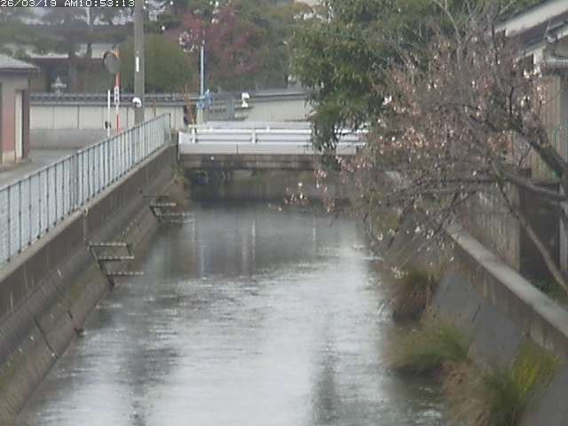 取得できませんでした