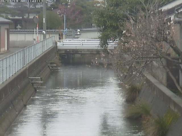 取得できませんでした