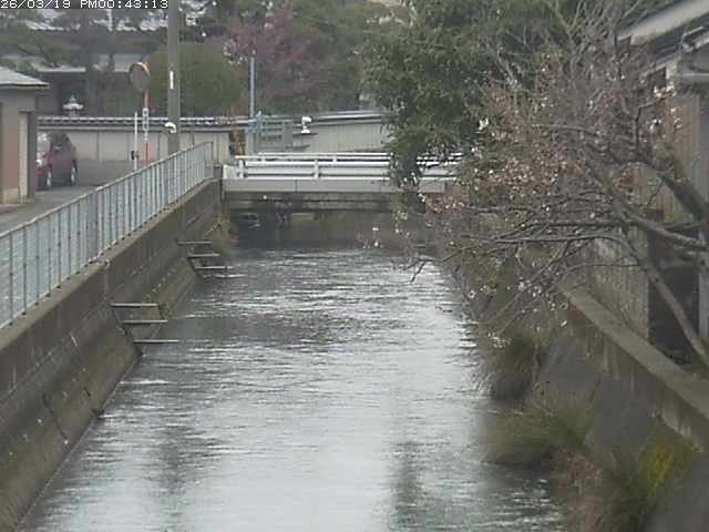 取得できませんでした