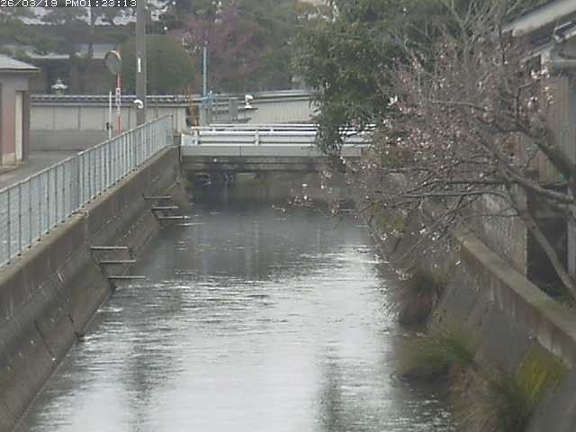 取得できませんでした