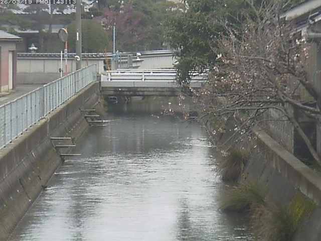 取得できませんでした