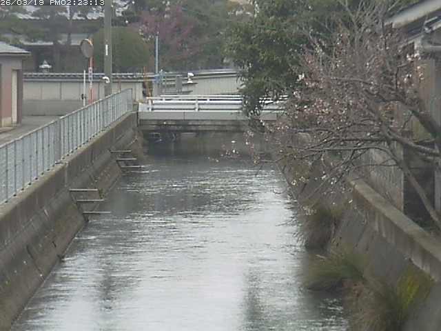 取得できませんでした