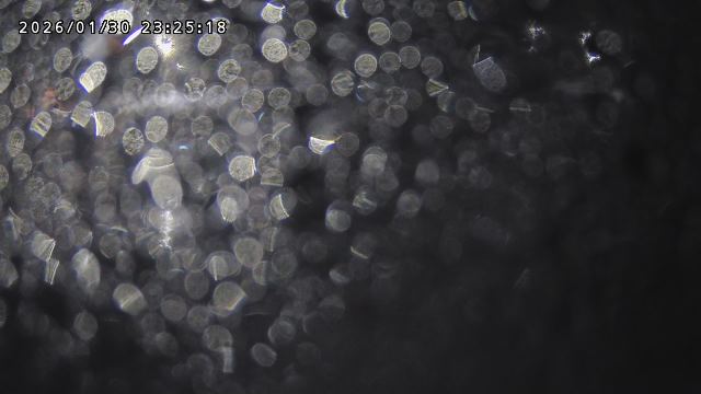 取得できませんでした