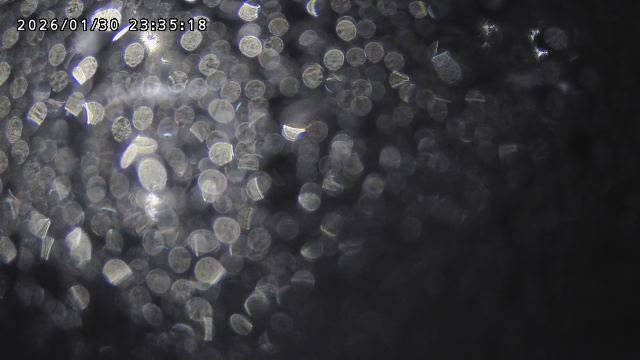 取得できませんでした