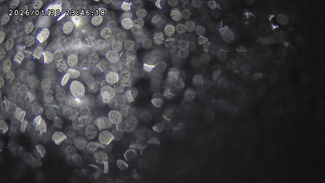 取得できませんでした