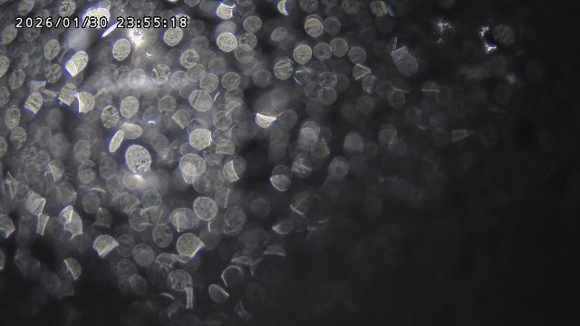 取得できませんでした