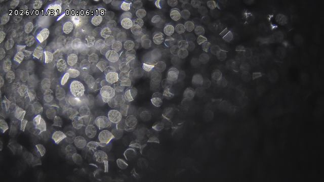 取得できませんでした