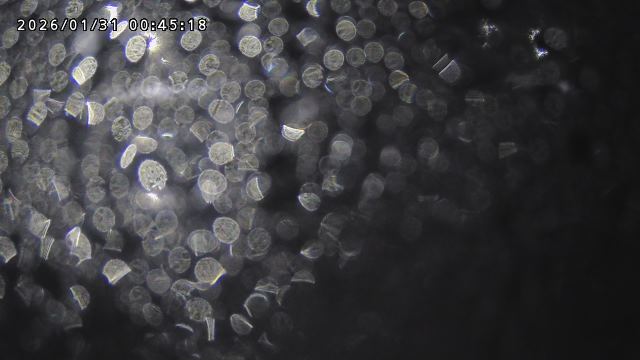 取得できませんでした