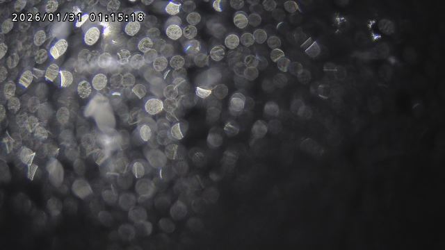 取得できませんでした