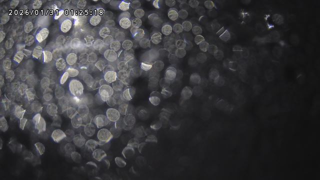 取得できませんでした