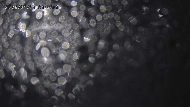 取得できませんでした