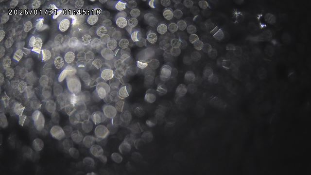 取得できませんでした