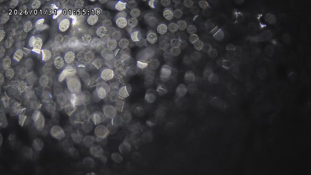 取得できませんでした