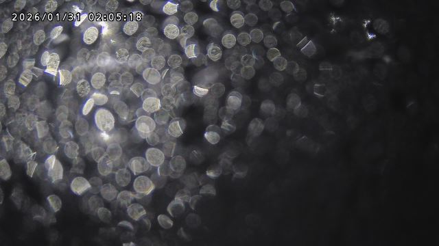 取得できませんでした