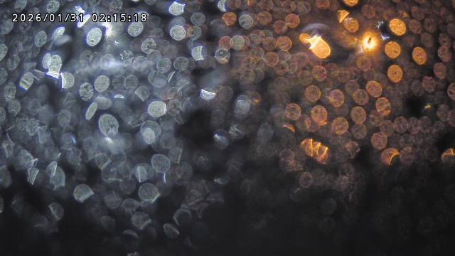 取得できませんでした