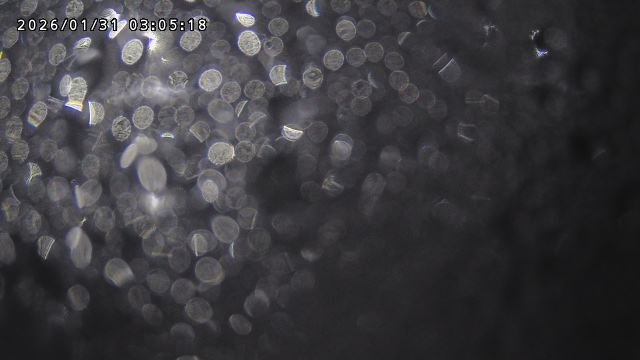 取得できませんでした