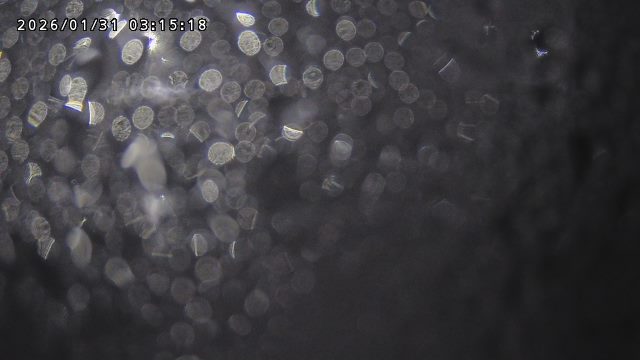 取得できませんでした