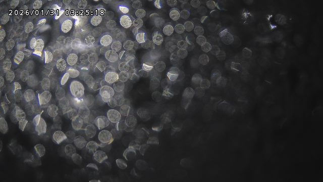 取得できませんでした