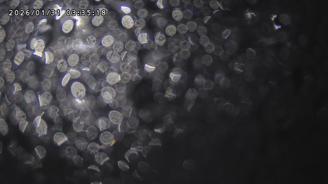 取得できませんでした