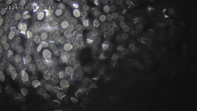 取得できませんでした