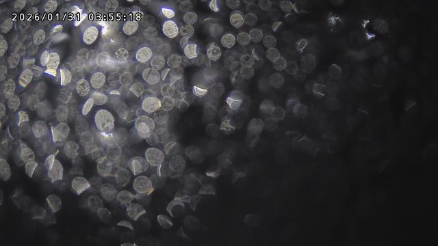 取得できませんでした