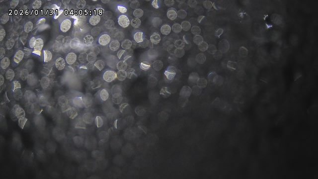 取得できませんでした