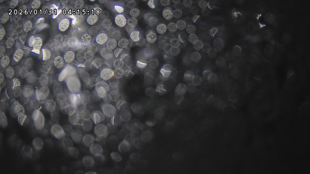 取得できませんでした