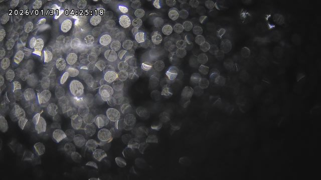 取得できませんでした