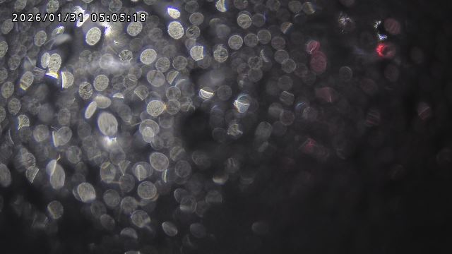 取得できませんでした